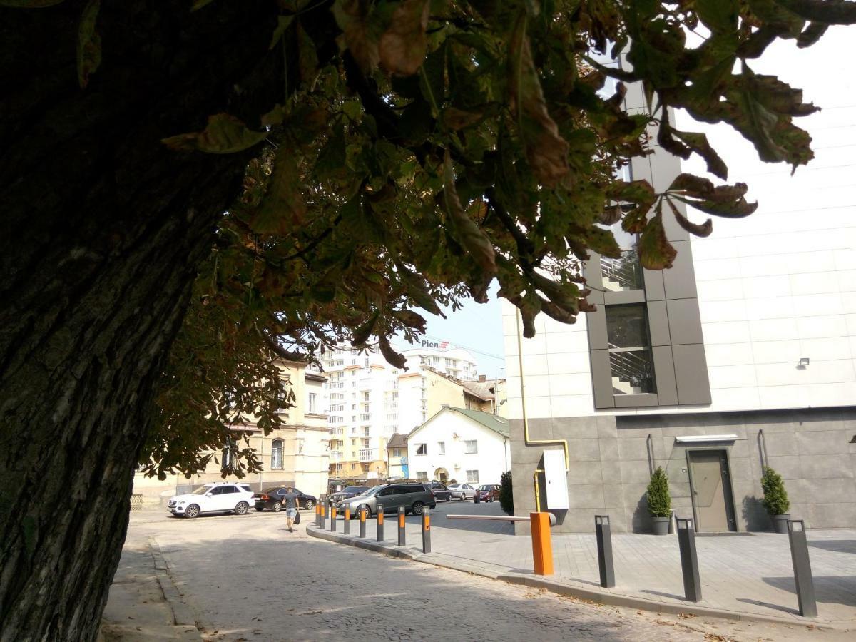 артгалерея у серці львова Apartment